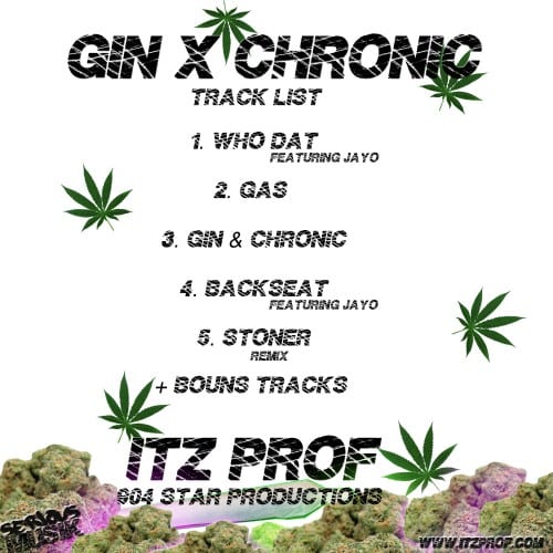 Gin X Chronic Back