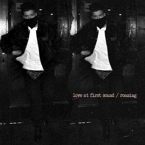Love At First Sound - Roaming